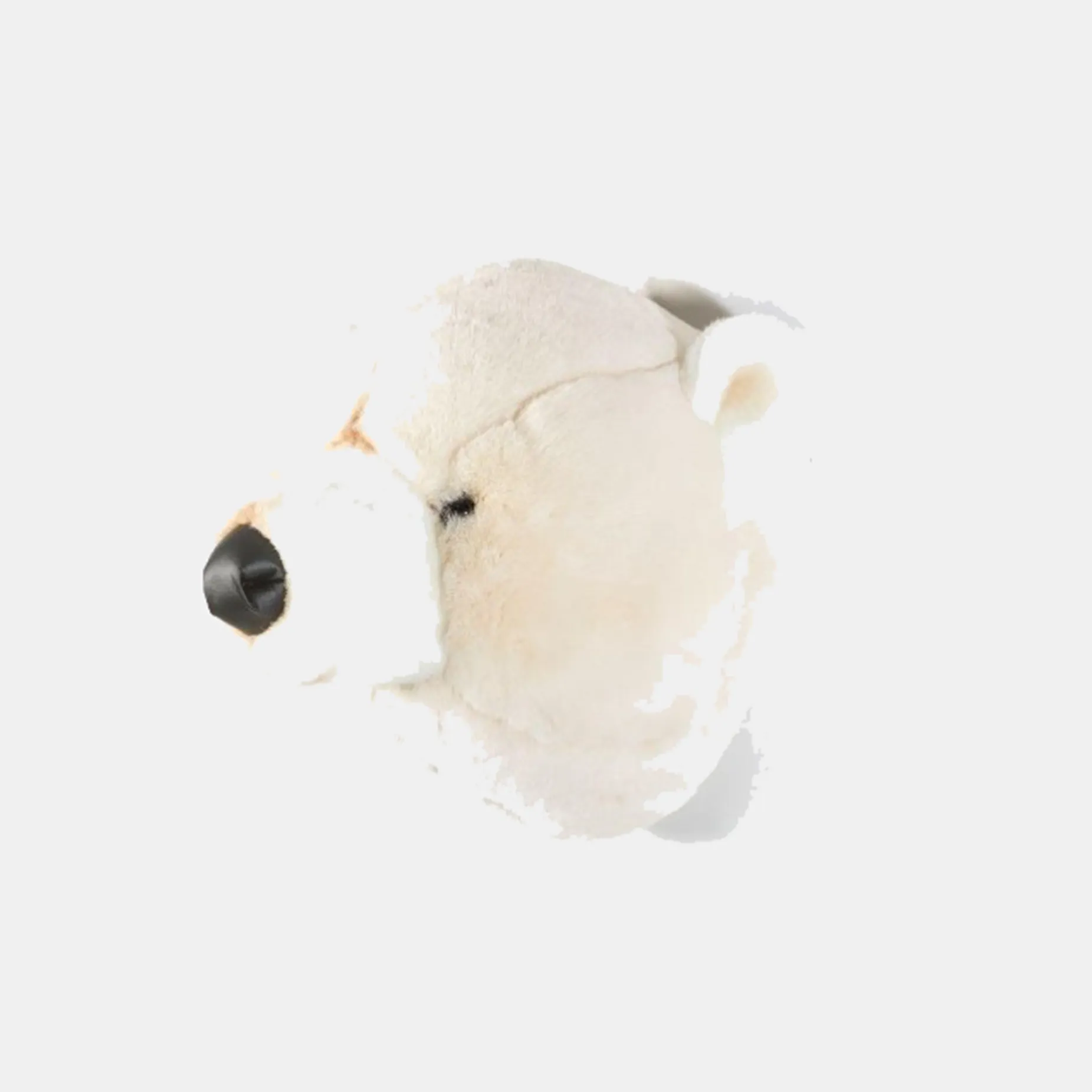 CABEZA DE OSO POLAR - Imagen 2