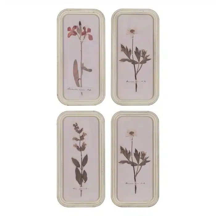 Cuadro Botánico Flores Silvestres, Vintage (25x2x50 cm) - Imagen 2
