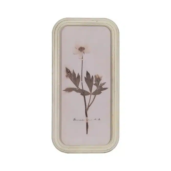 Cuadro Botánico Flores Silvestres, Vintage (25x2x50 cm) - Imagen 4