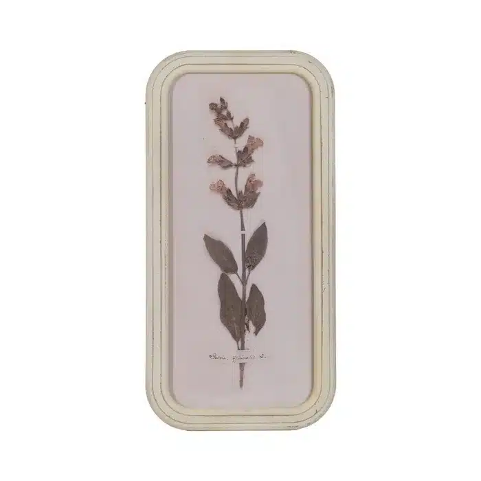 Cuadro Botánico Flores Silvestres, Vintage (25x2x50 cm) - Imagen 5